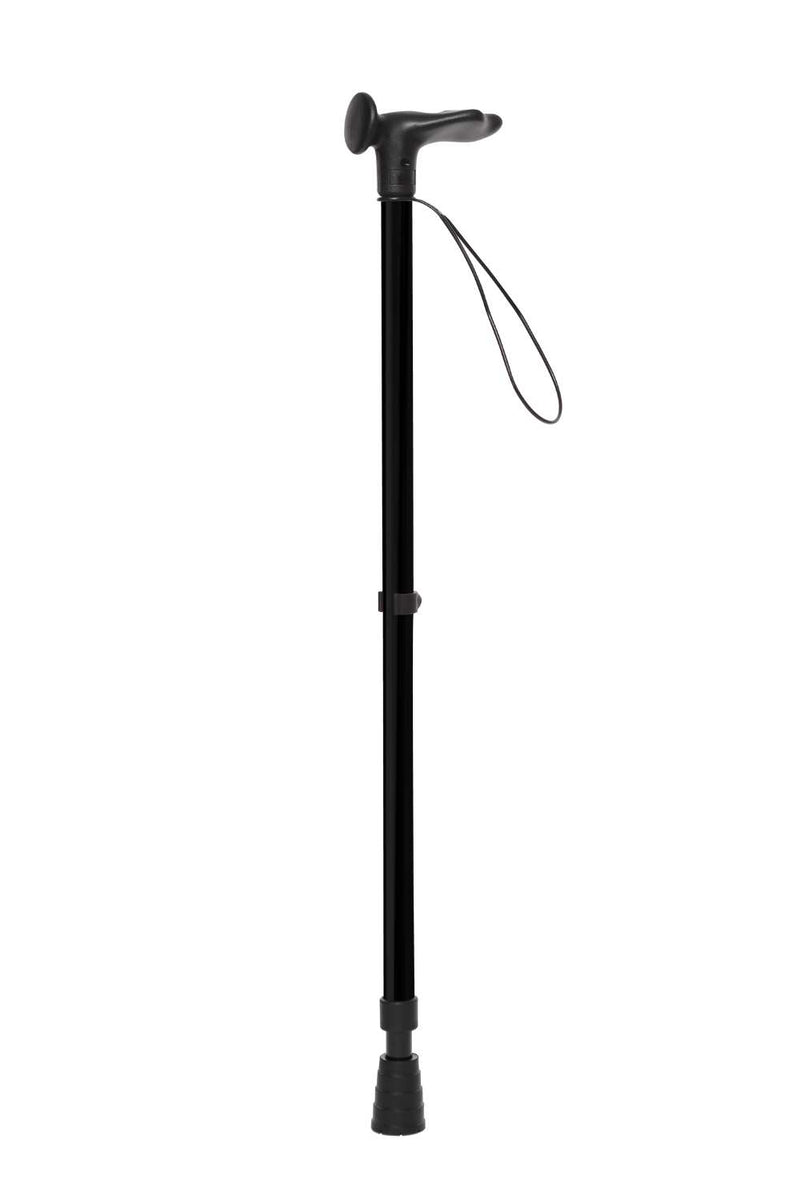 Black Walking Stick