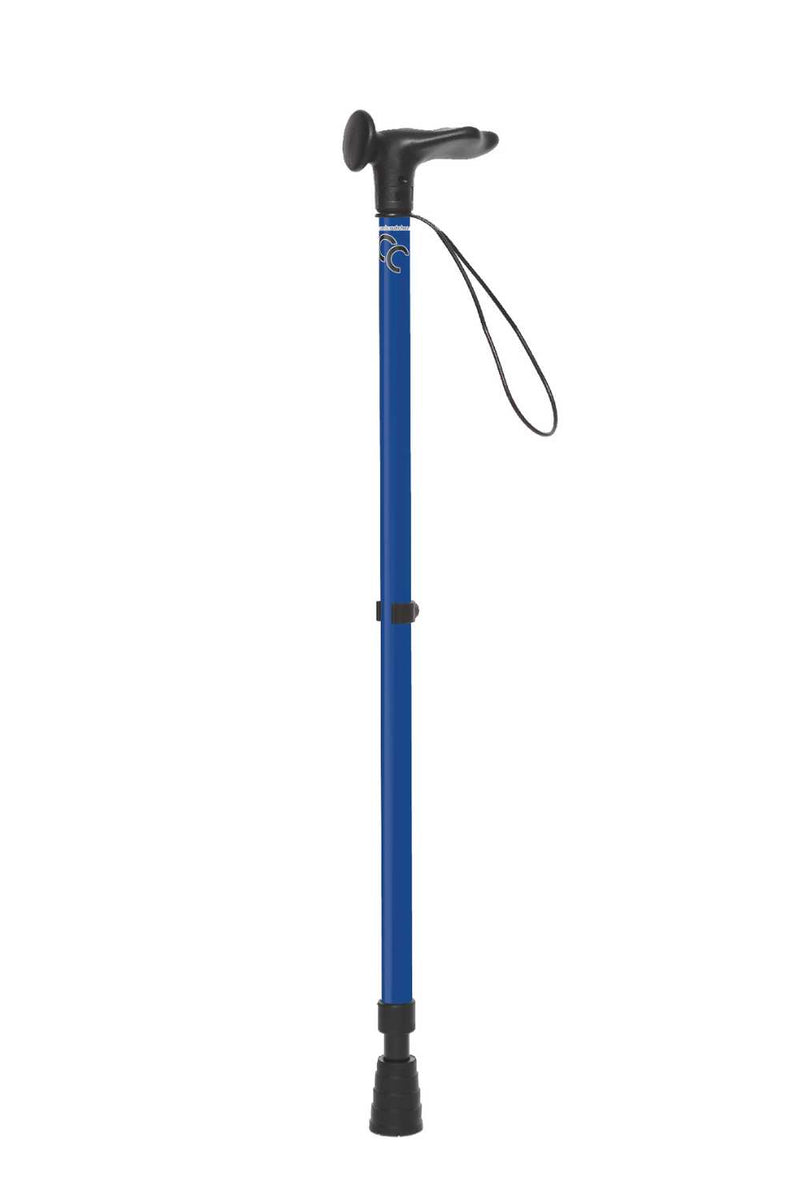 Blue Walking Stick