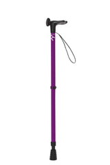 Purple Walking Stick