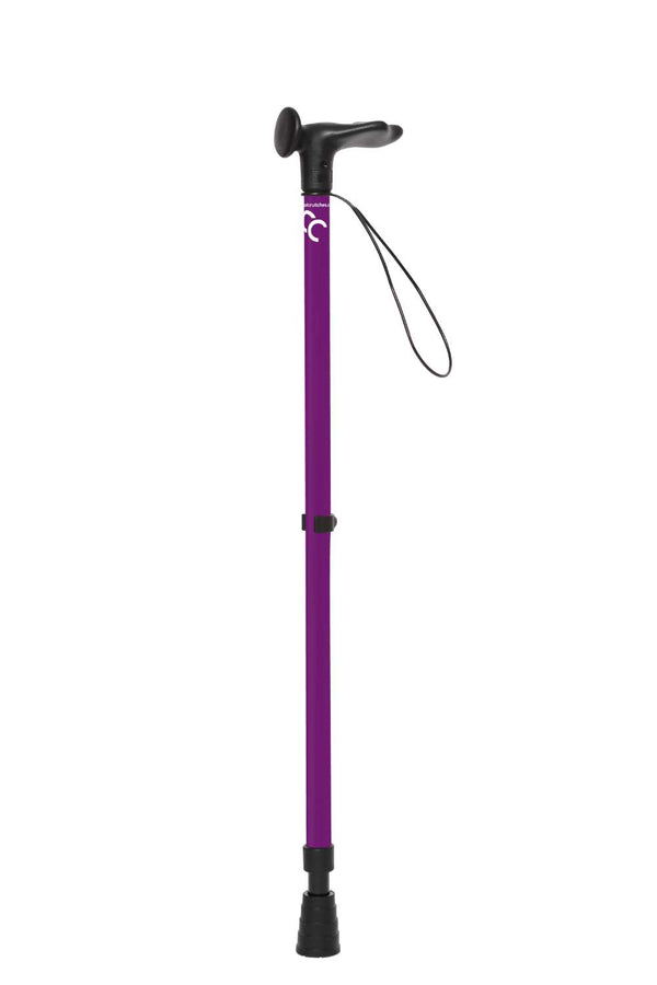 Purple Walking Stick