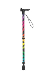 Rainbow Zebra Walking Stick