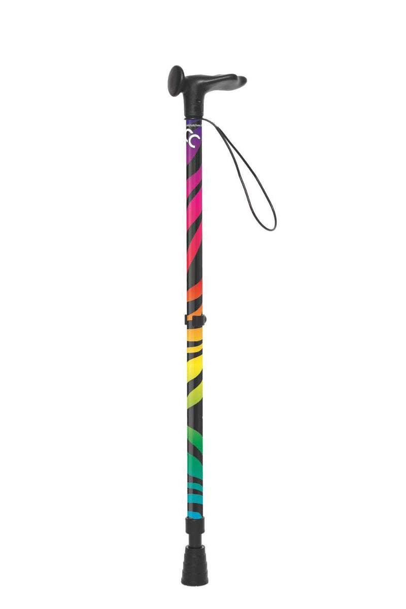 Rainbow Zebra Walking Stick