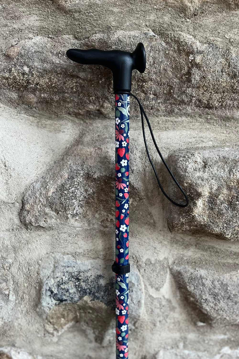 Strawberry Walking Stick