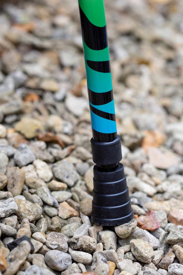 Rainbow Zebra Walking Stick